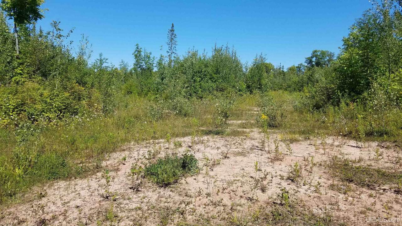 TBD Woodspur Road - Photo 1