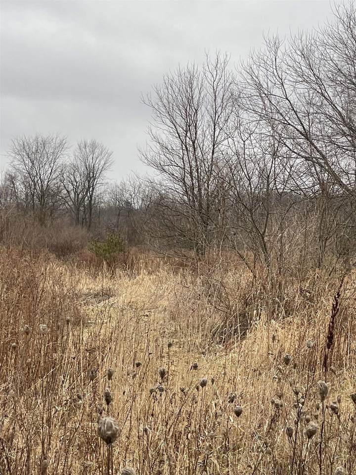 14167 Genesee - Photo 1