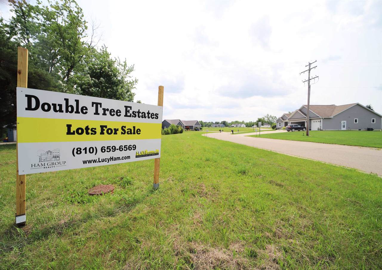  Double Tree - Photo 1