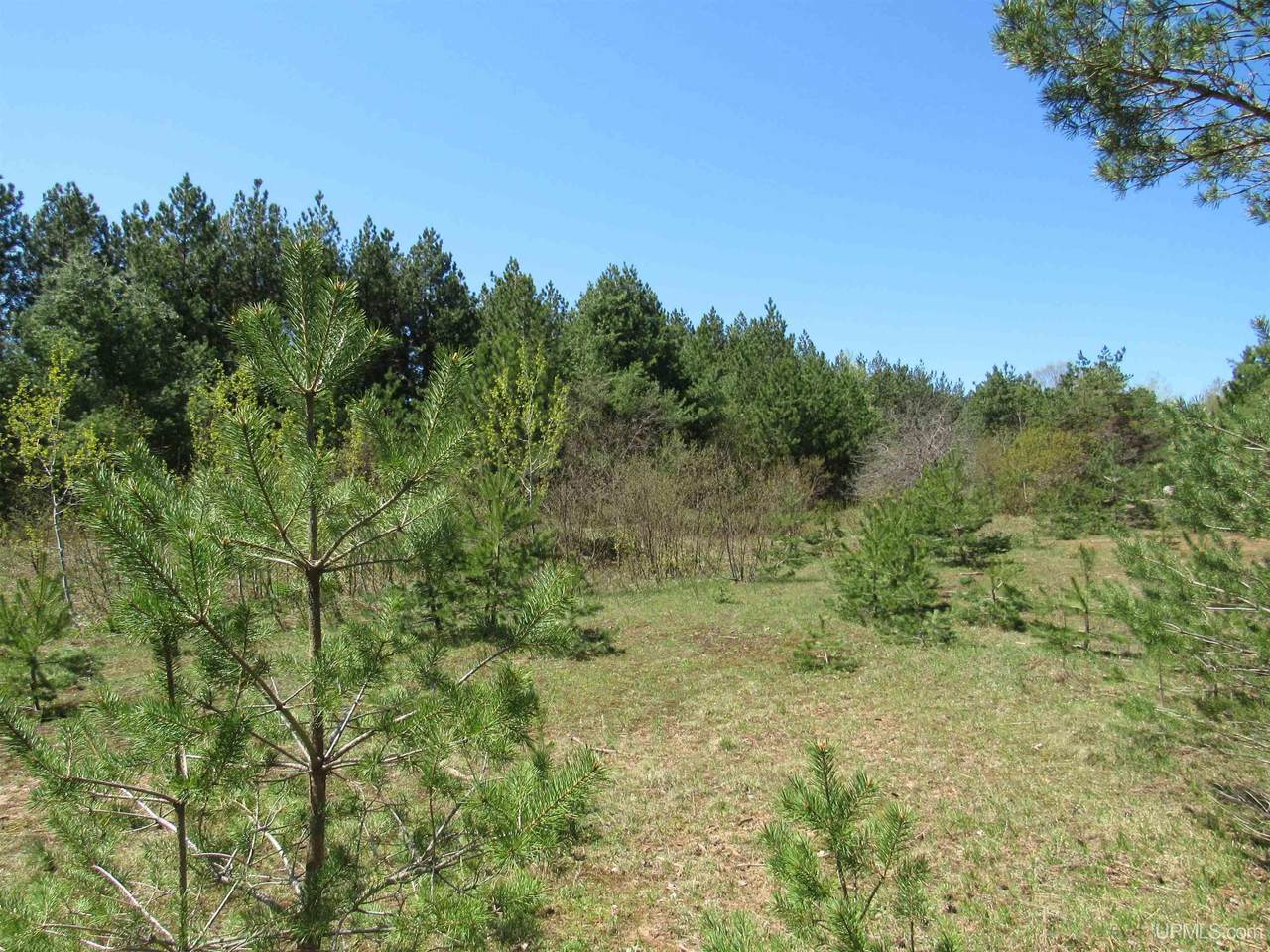 40 Acres Off Snowmobile Trail 133 - Photo 1