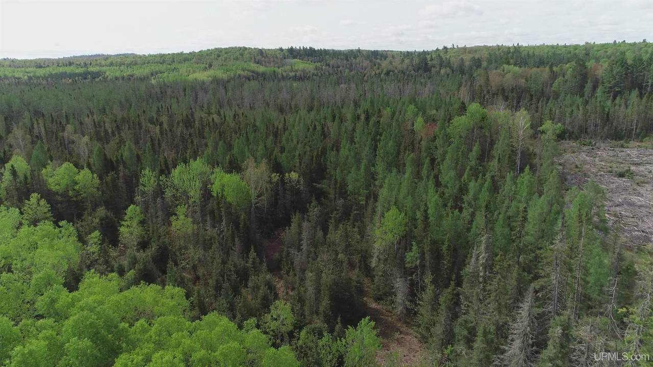 280 Acres County Road Ccn - Photo 1