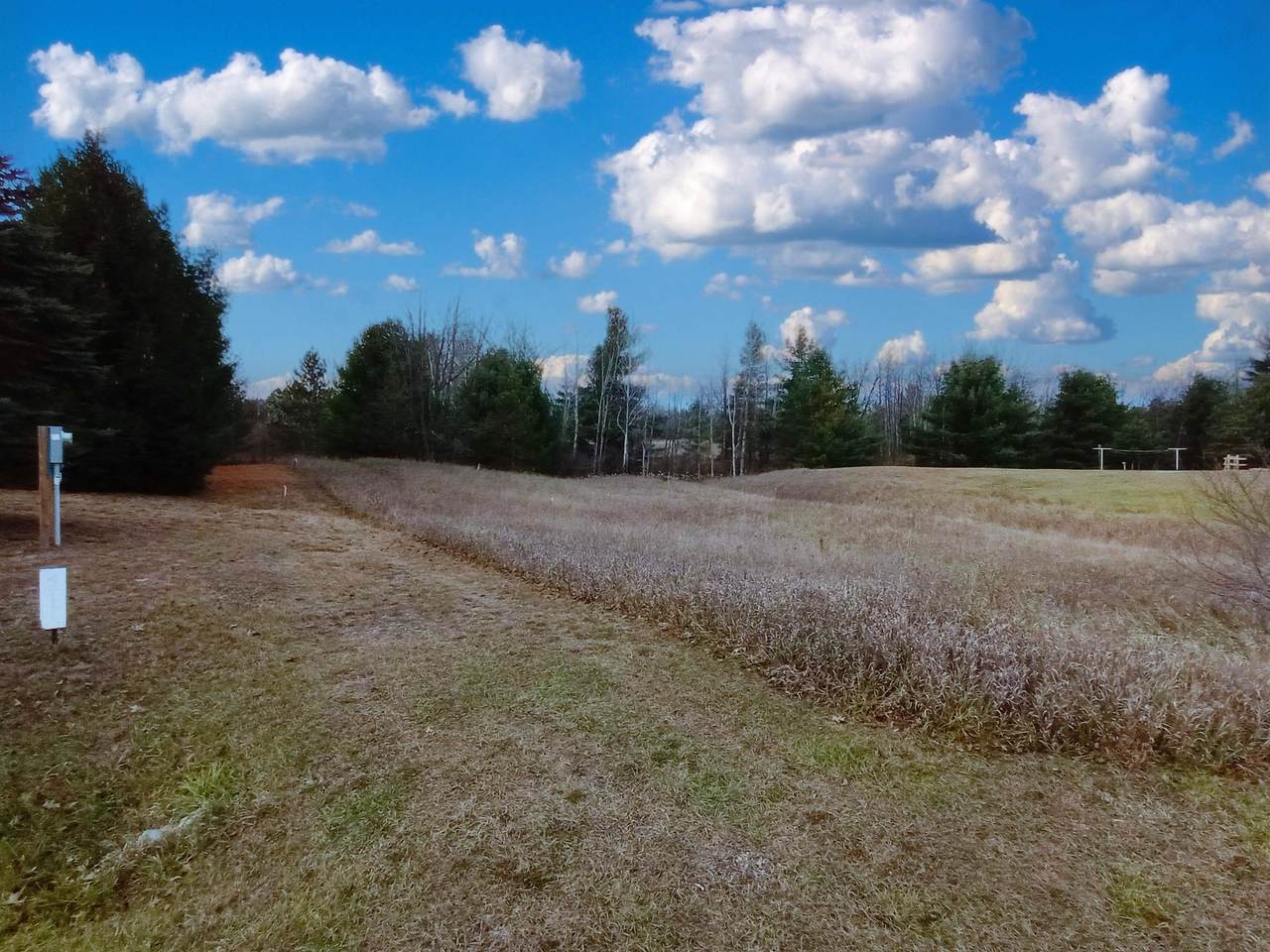 4911 Westchester - Photo 1