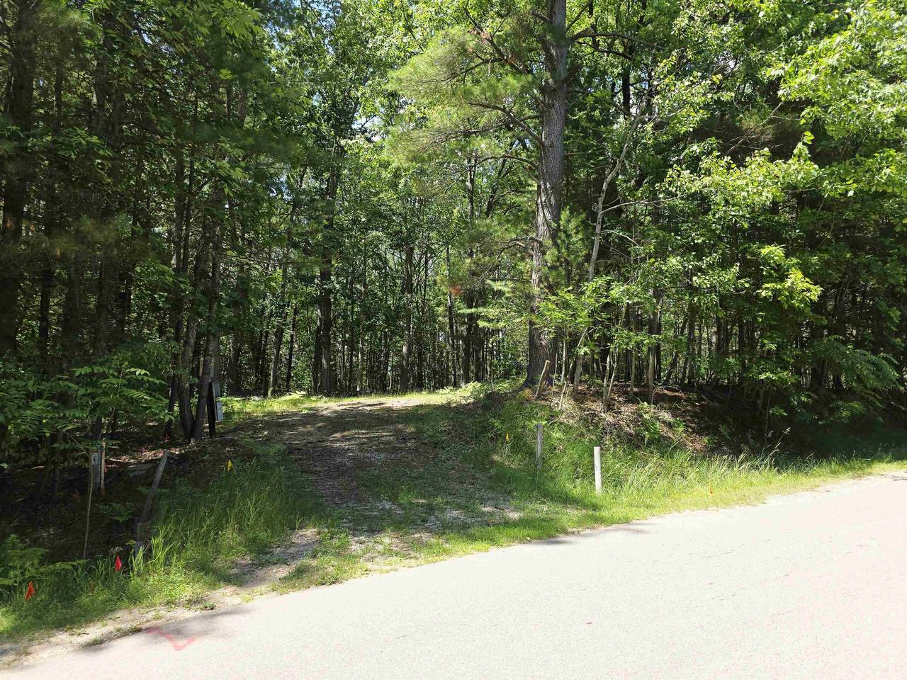 4971 Queens - Photo 1