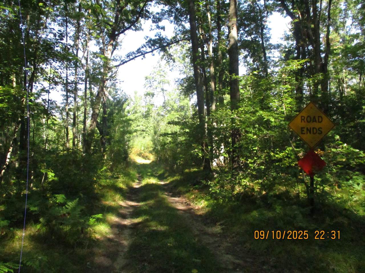 00 Firelane Trail - Photo 1