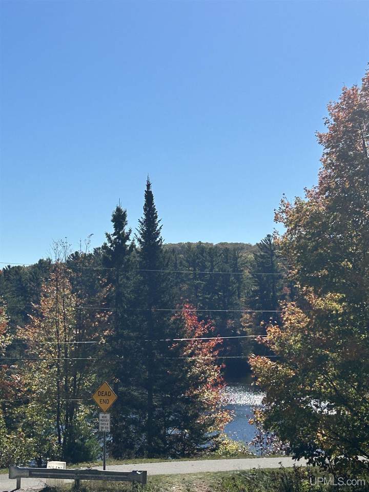 Parcel 9 Co Rd 510 - Photo 1