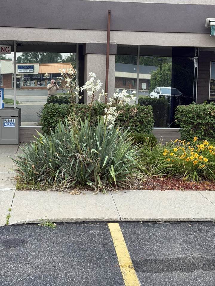 48562 Van Dyke - Photo 1