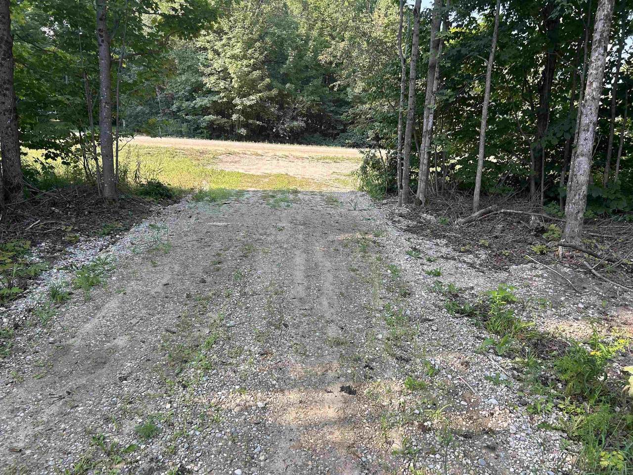 Lots 56 & 57 Covert - Photo 1