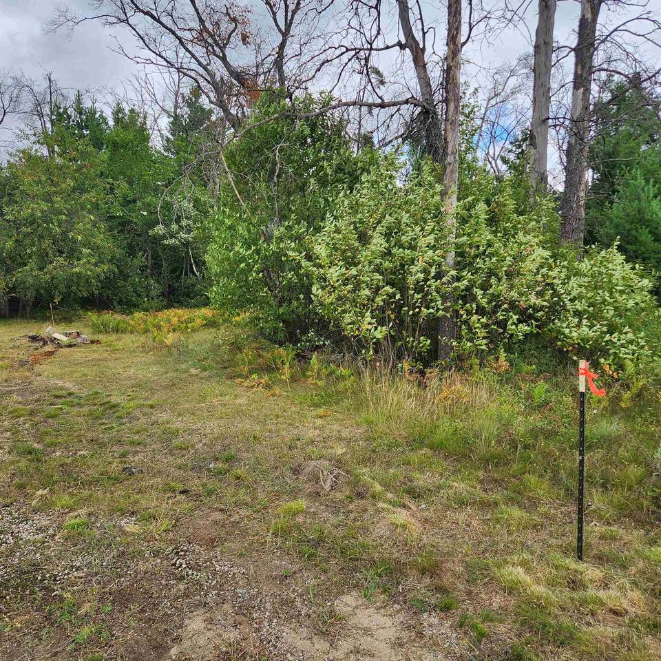 6324 Pine Point - Photo 1