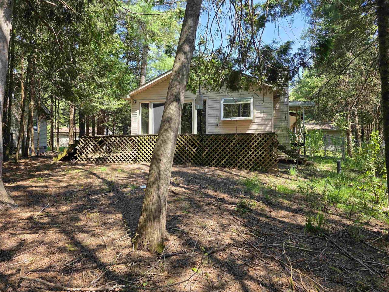 12506 Shore - Photo 1