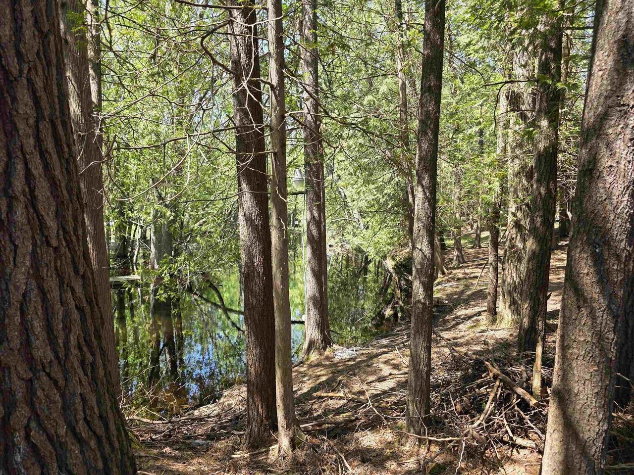 https://bt-photos.global.ssl.fastly.net/realsource/1280_boomver_2_80065469-2.jpg