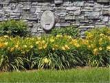 6296 Bridle - Photo 3