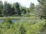  Voelker Lake - Photo 10