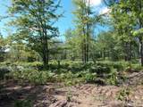  Voelker Lake - Photo 14