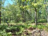  Voelker Lake - Photo 15