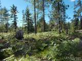  Voelker Lake - Photo 16