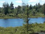  Voelker Lake - Photo 17