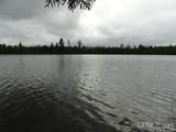  Voelker Lake - Photo 2