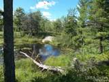  Voelker Lake - Photo 21