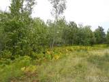  Voelker Lake - Photo 23