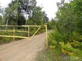  Voelker Lake - Photo 24