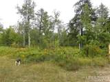  Voelker Lake - Photo 26