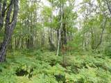  Voelker Lake - Photo 27