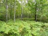  Voelker Lake - Photo 31