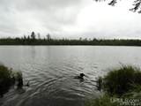  Voelker Lake - Photo 4
