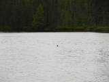  Voelker Lake - Photo 6