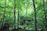 on Gage - Photo 14