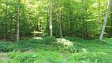 on Gage - Photo 5