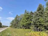 80 Acres Off M94 - Photo 1