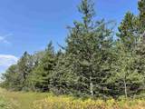 80 Acres Off M94 - Photo 2