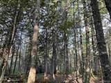80 Acres Off M94 - Photo 3