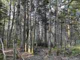 80 Acres Off M94 - Photo 4