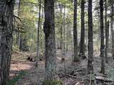 80 Acres Off M94 - Photo 5