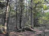 80 Acres Off M94 - Photo 7