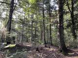 80 Acres Off M94 - Photo 8