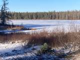 527 Usfs Rd 2130 - Photo 34