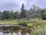 30410 Co Rd 407 - Photo 5