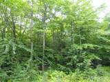 320 Acre Off Co Rd 510 - Photo 10