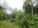 320 Acre Off Co Rd 510 - Photo 11