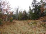 320 Acre Off Co Rd 510 - Photo 12