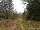 320 Acre Off Co Rd 510 - Photo 16