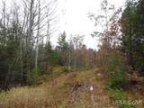 320 Acre Off Co Rd 510 - Photo 17