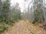 320 Acre Off Co Rd 510 - Photo 19