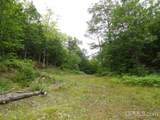 320 Acre Off Co Rd 510 - Photo 2