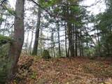 320 Acre Off Co Rd 510 - Photo 20