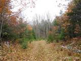 320 Acre Off Co Rd 510 - Photo 21