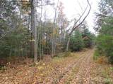 320 Acre Off Co Rd 510 - Photo 22